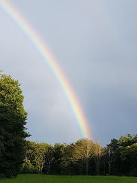 Scenic view of rainbow over trees against sky