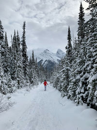 Rear view of person on snowcapped mountain against sky