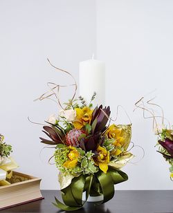 Potted plant on wall