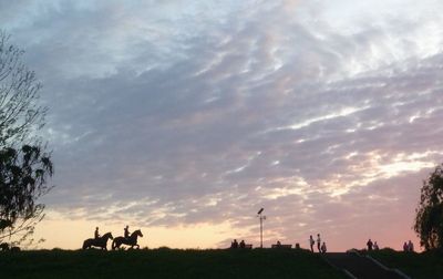 Side view of horse riding on landscape