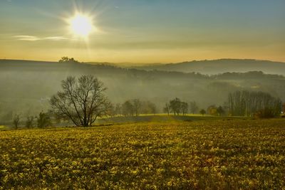 Scenic view of field against sky during sunset