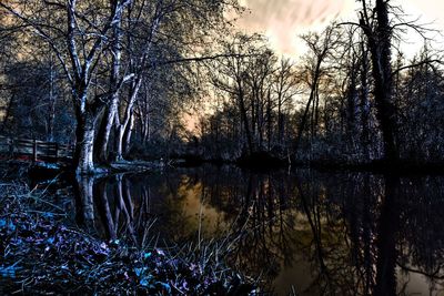 Bare trees by lake in forest against sky