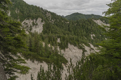 Scenic view of trees and mountains against sky