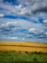 Scenic view of agricultural field against sky