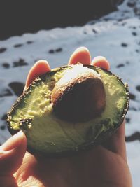 Close-up of hand holding fruit