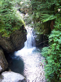 High angle view of waterfall amidst trees in forest