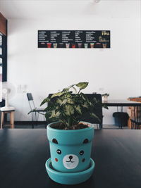 Close-up of potted plant on table at home