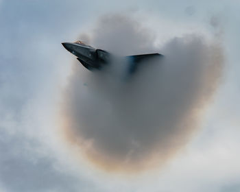 Low angle view of bird flying in sky