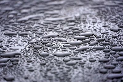 Close-up of water drops on pebbles at beach