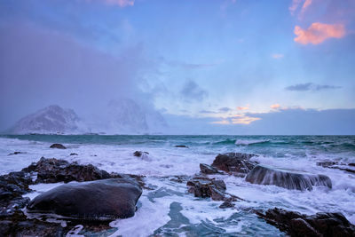 Coast of norwegian sea on rocky coast in fjord on sunset