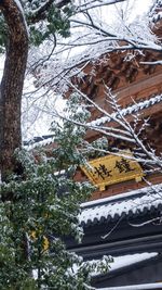 Low angle view of frozen bare tree during winter