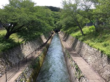 Panoramic view of canal amidst trees in forest