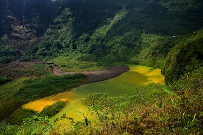 Scenic view of waterfall in forest