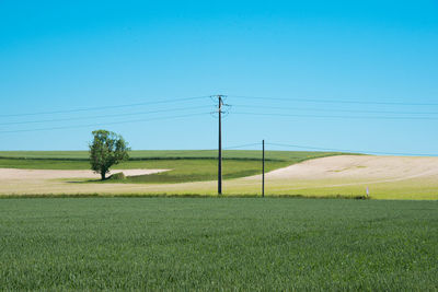 Grassy field against clear blue sky