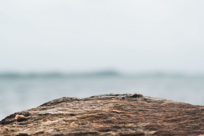 Scenic view of rocks on beach against sky