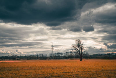 Scenic view of field against sky