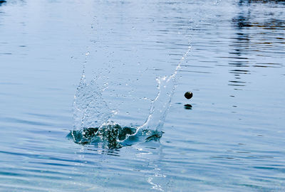 Close-up of water splashing in sea