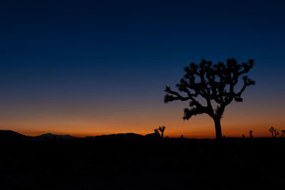 Silhouette trees on landscape against clear sky during sunset