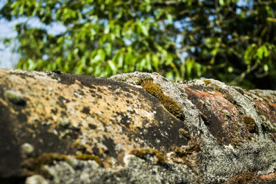 Close-up of rocks
