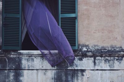 Purple curtain by window