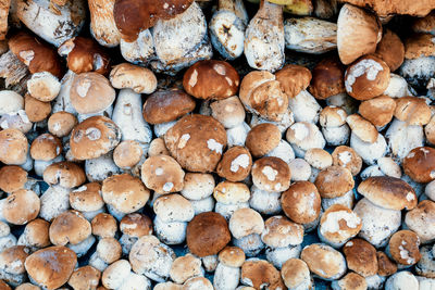 Full frame shot of logs