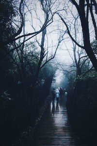 Rear view of people walking on bare trees in forest