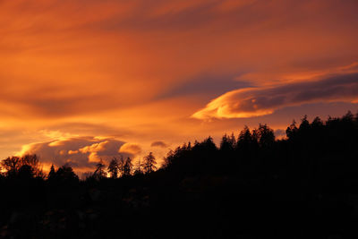 Low angle view of silhouette trees against orange sky