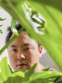 Close-up of young asian man framed by philodendron leaves.