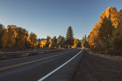 Road amidst trees against clear sky during autumn