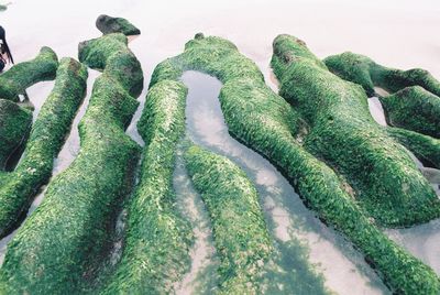 High angle view of water against white background