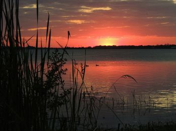 Scenic view of lake at sunset