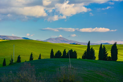 Scenic view of green landscape against blue sky