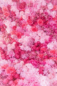 Close-up of pink rose bouquet