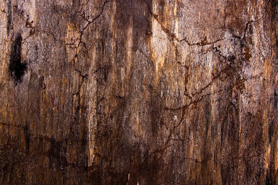 Full frame shot of weathered wooden plank