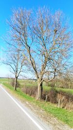 Road amidst bare trees on field against sky