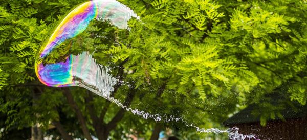 Bubbles floating on water