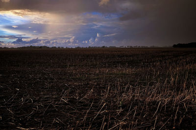 Scenic view of field against sky
