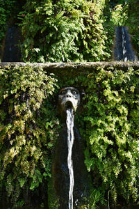 Close-up of waterfall