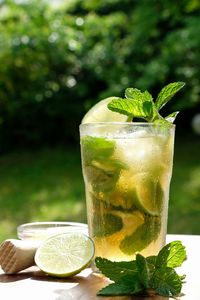 Non alcoholic mojito in cocktail glass on wooden table. ice cubes, pepper mint leaves, and ice cubes