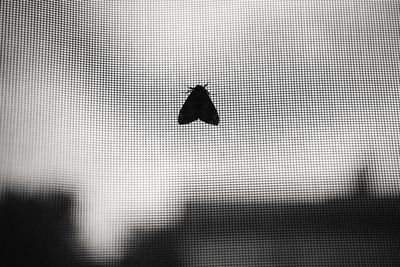 Full frame shot of window