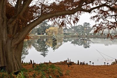 Panoramic view of a lake