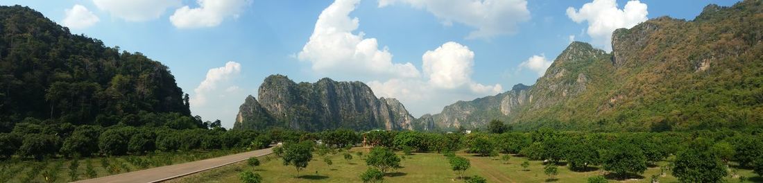 Panoramic shot of trees and plants against sky