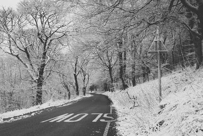 Road in winter