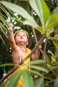 Adorable infant dressed as hindu god krishna cute facial expression playing at tree at janmashtami
