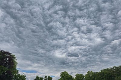 Low angle view of trees against cloudy sky