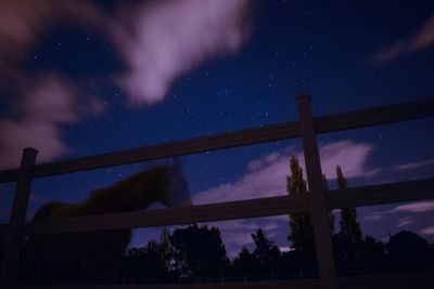 Low angle view of fireworks against sky at night