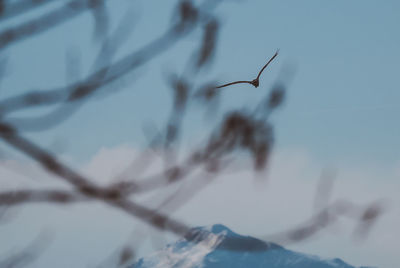 Close-up of snow against sky