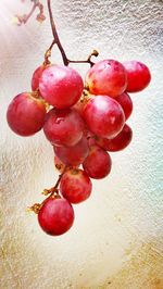 Close-up of cherries hanging