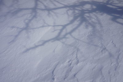 Full frame shot of snow