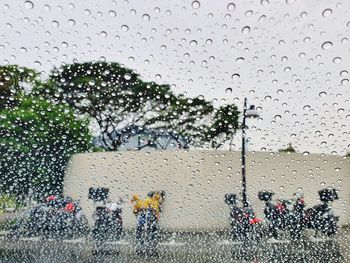 Water drops on glass window